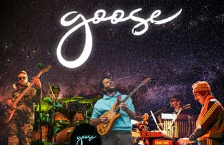 Goose