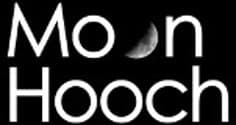 Moon Hooch