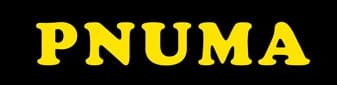 Pnuma